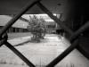 Korah courtyard.