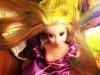 happy new year miss rapunzel