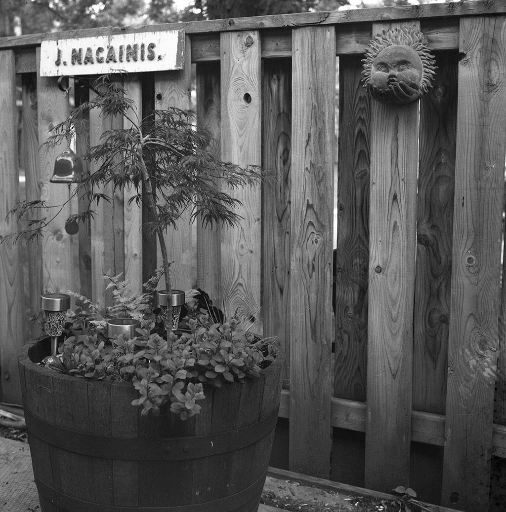 Kodak TriX 400. 