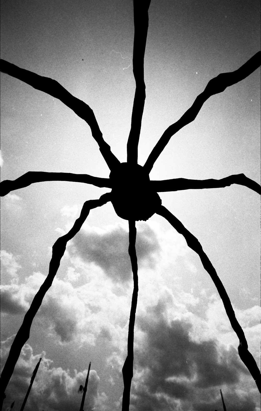 Acros 100