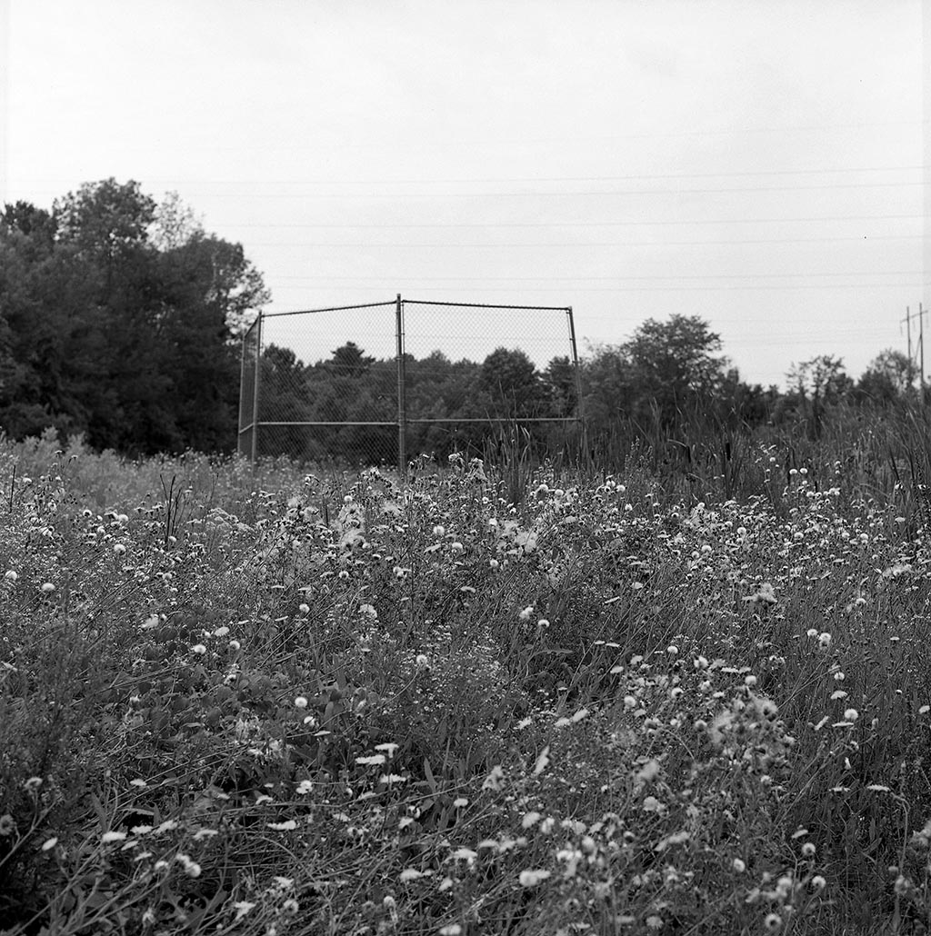 Acros 100