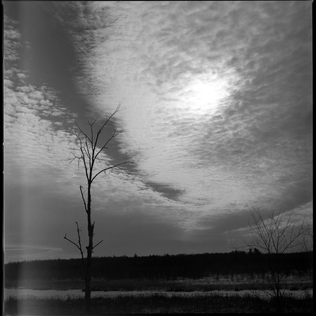 mmn_scan579_1024