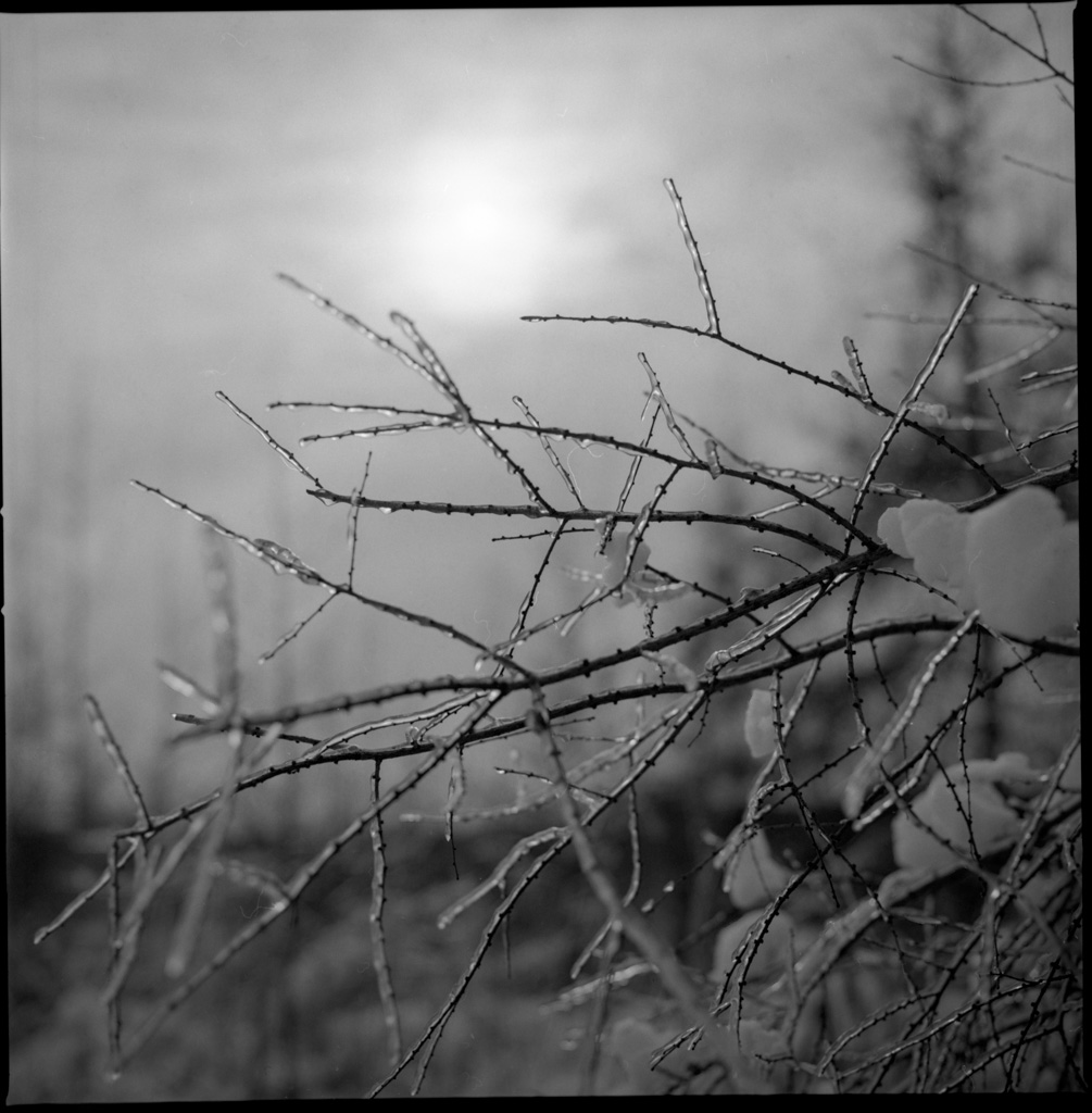 mmn_scan583_1024