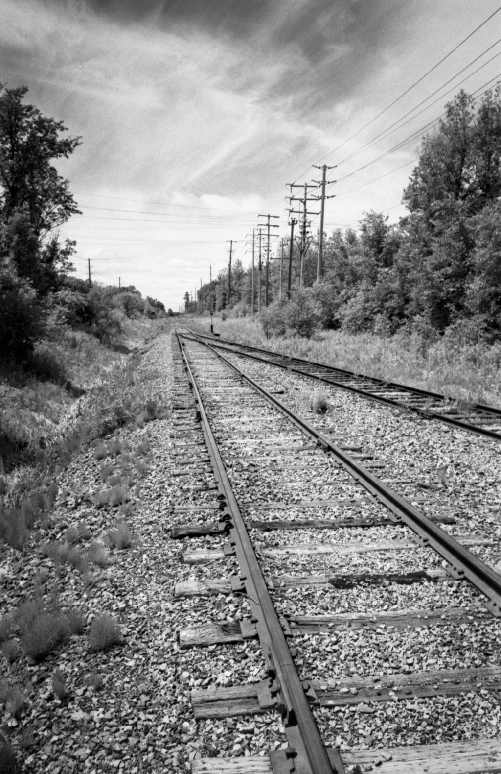 mmn20150804-mmn_scan_1971_1024