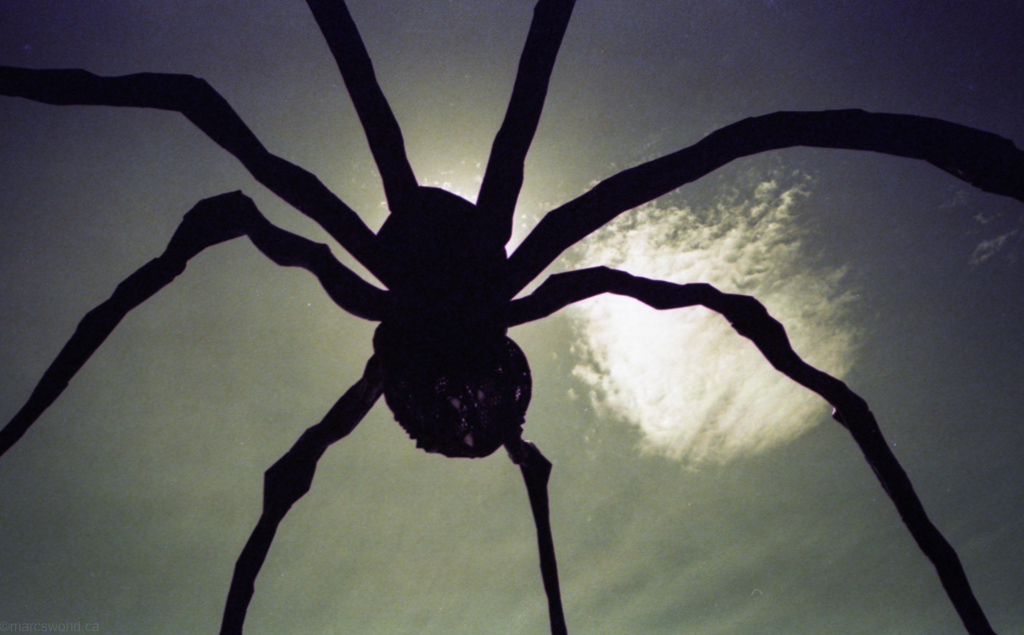 mmn_scan_Gold200_2263_1024