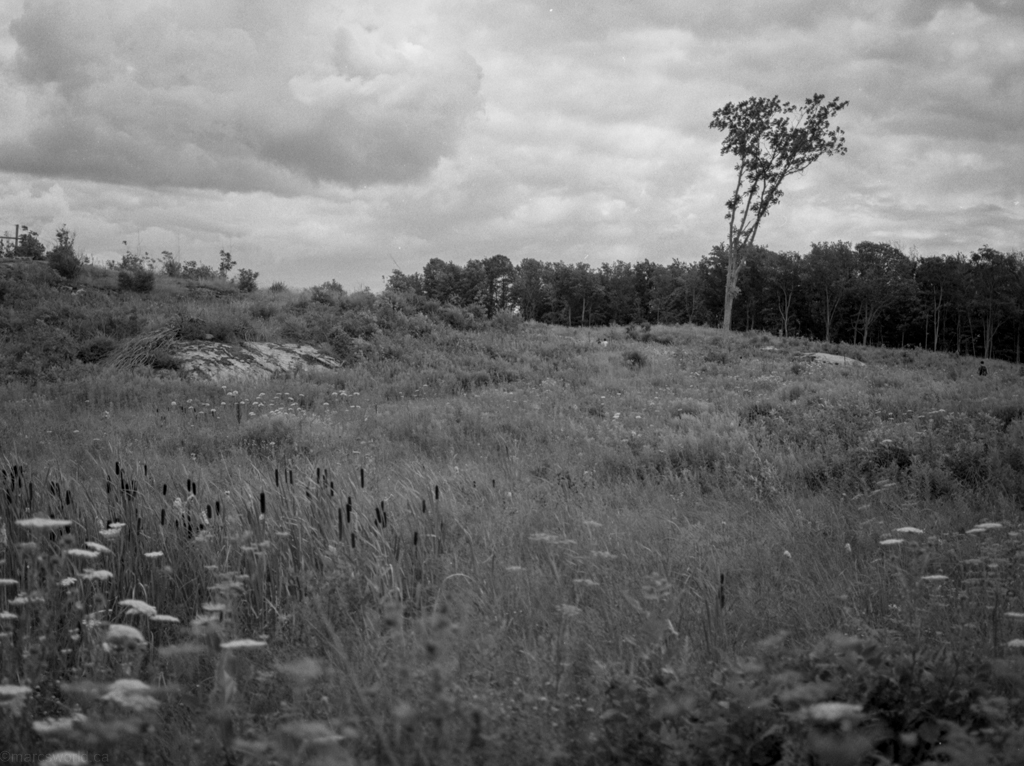 mmn_scan_PlusX125_2410_1024