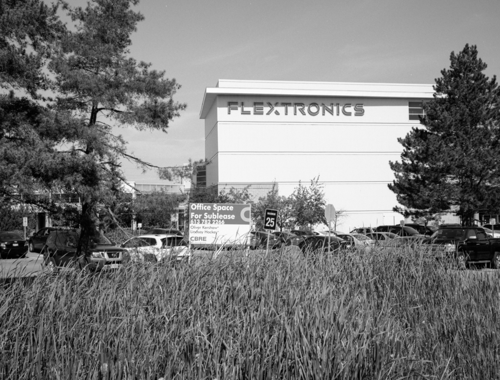 mmn_scan_TMax100_2316_1024