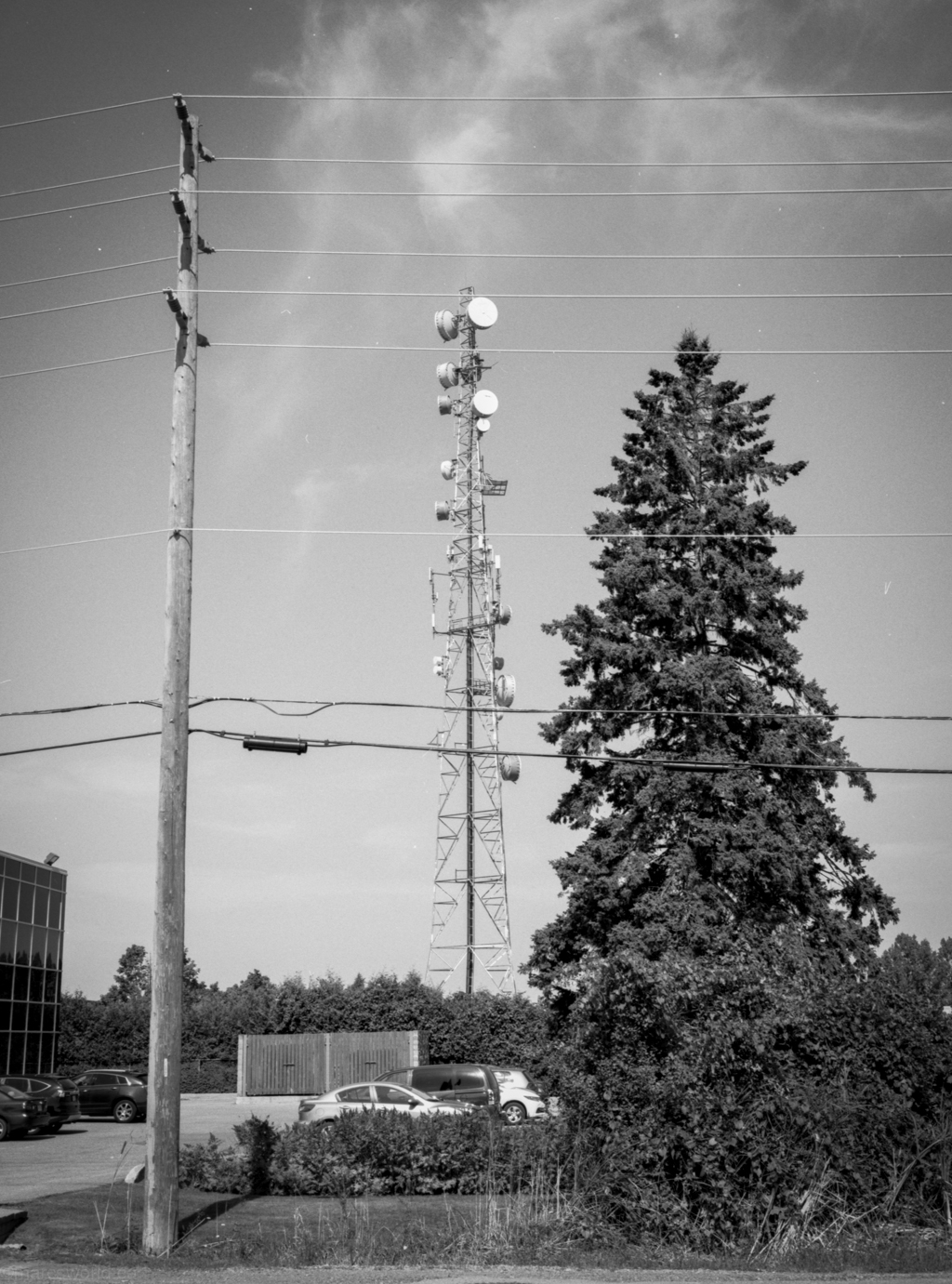 mmn_scan_TMax100_2320_1024