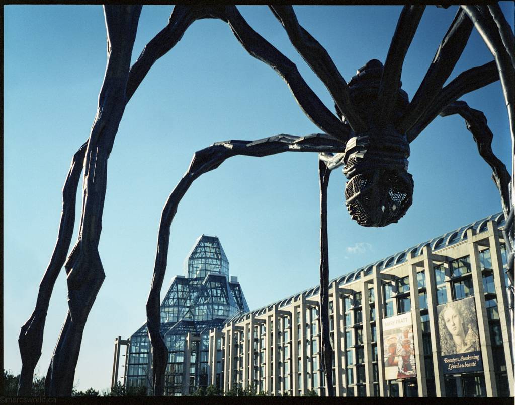 mmn_scan_KodakPortra400NC_2504_1024