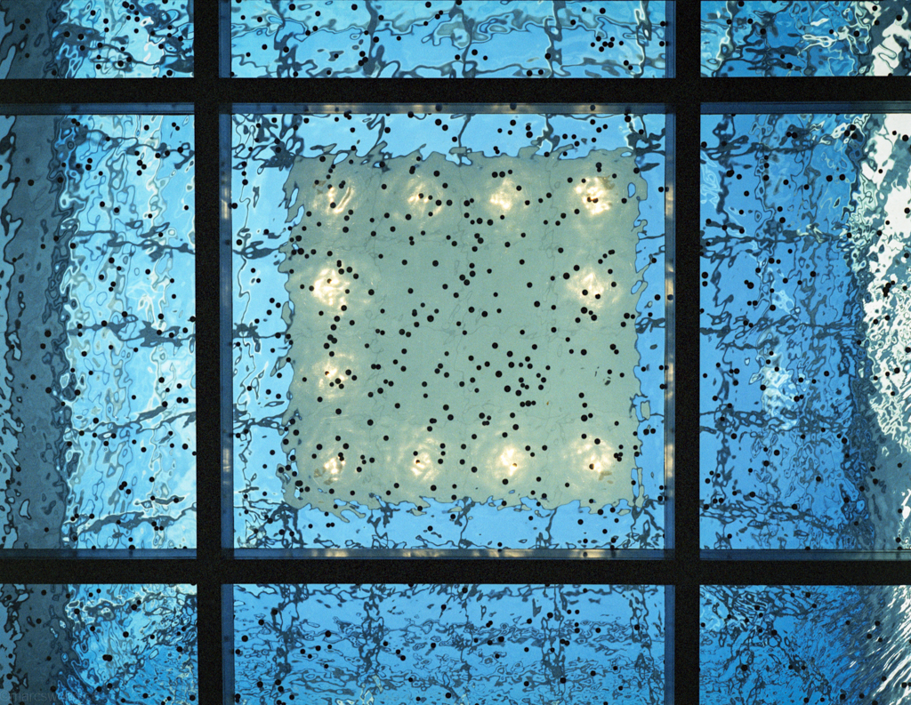 mmn_scan_KodakPortra400NC_2505_1024