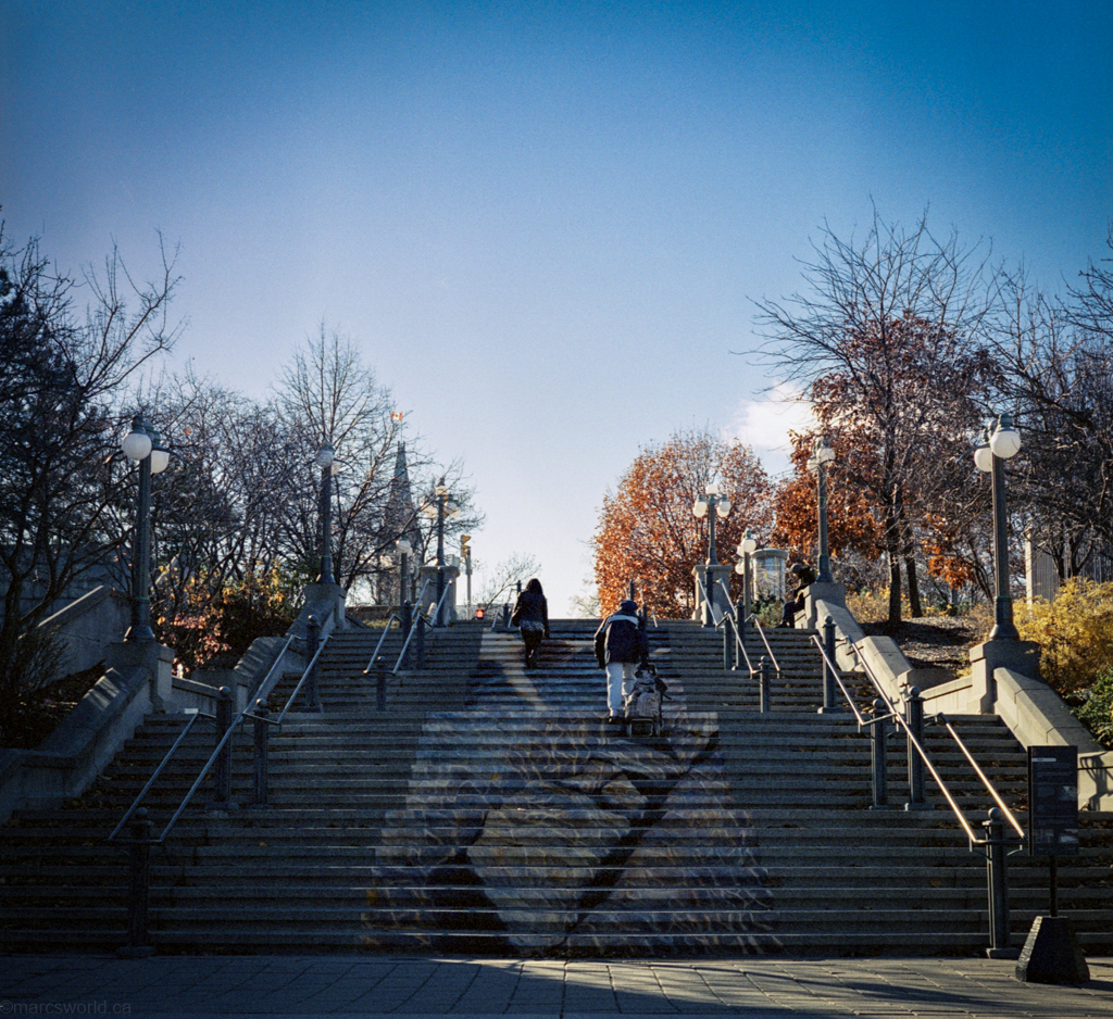 mmn_scan_KodakPortra400NC_2528_1024