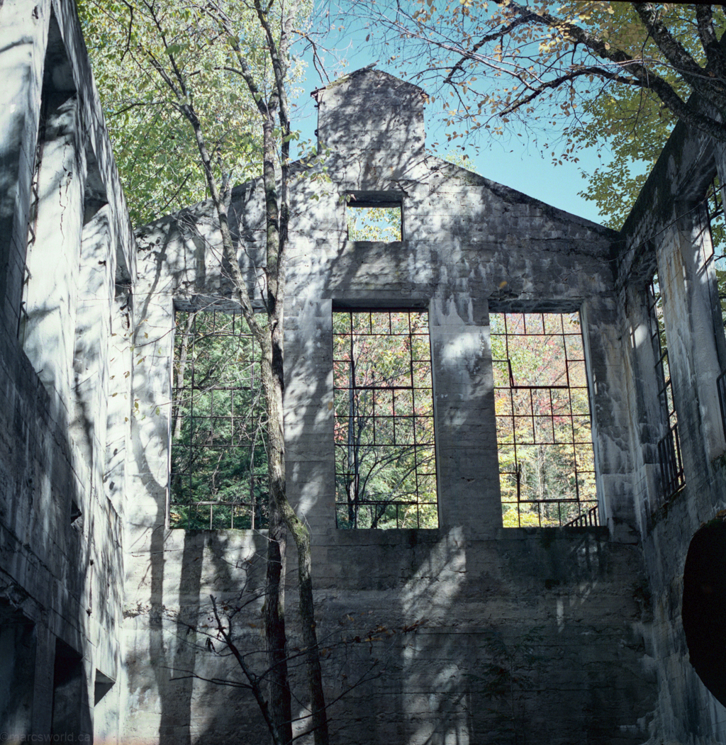 mmn_scan_KodakPortra400NC_2552_1024