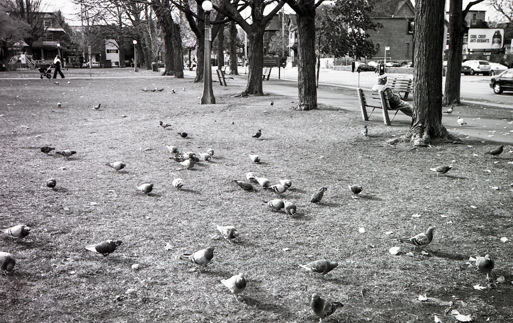 mmn_scan_KodakBW400_2776_1024