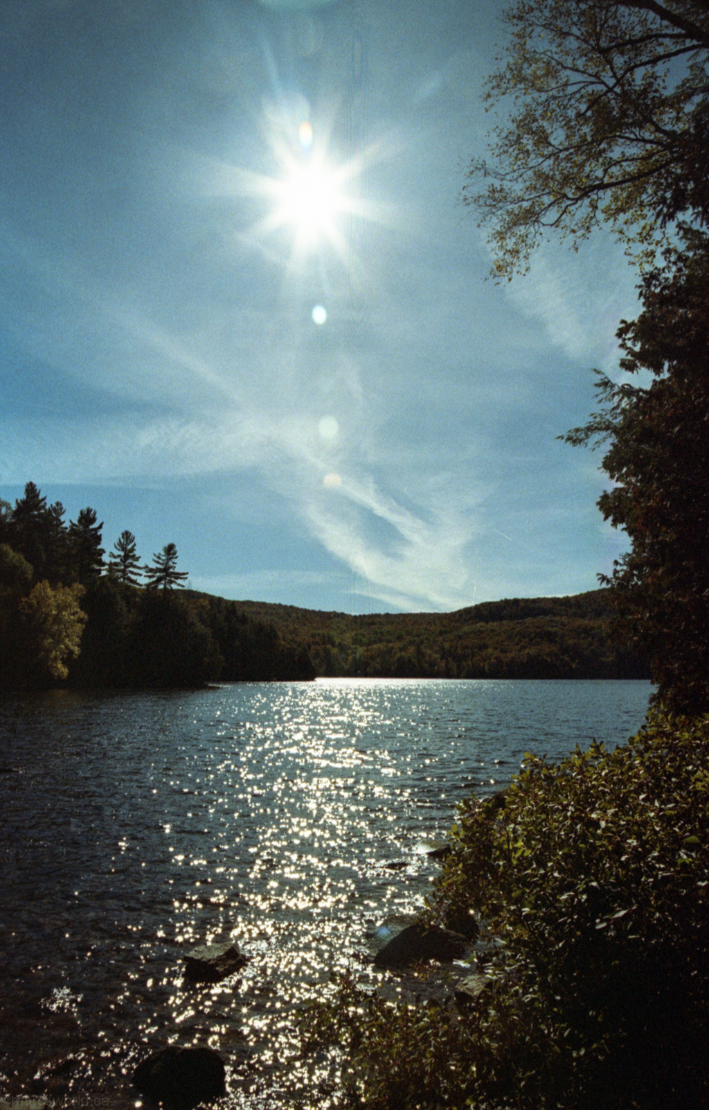 mmn_scan_KodakGold200_2652_1024