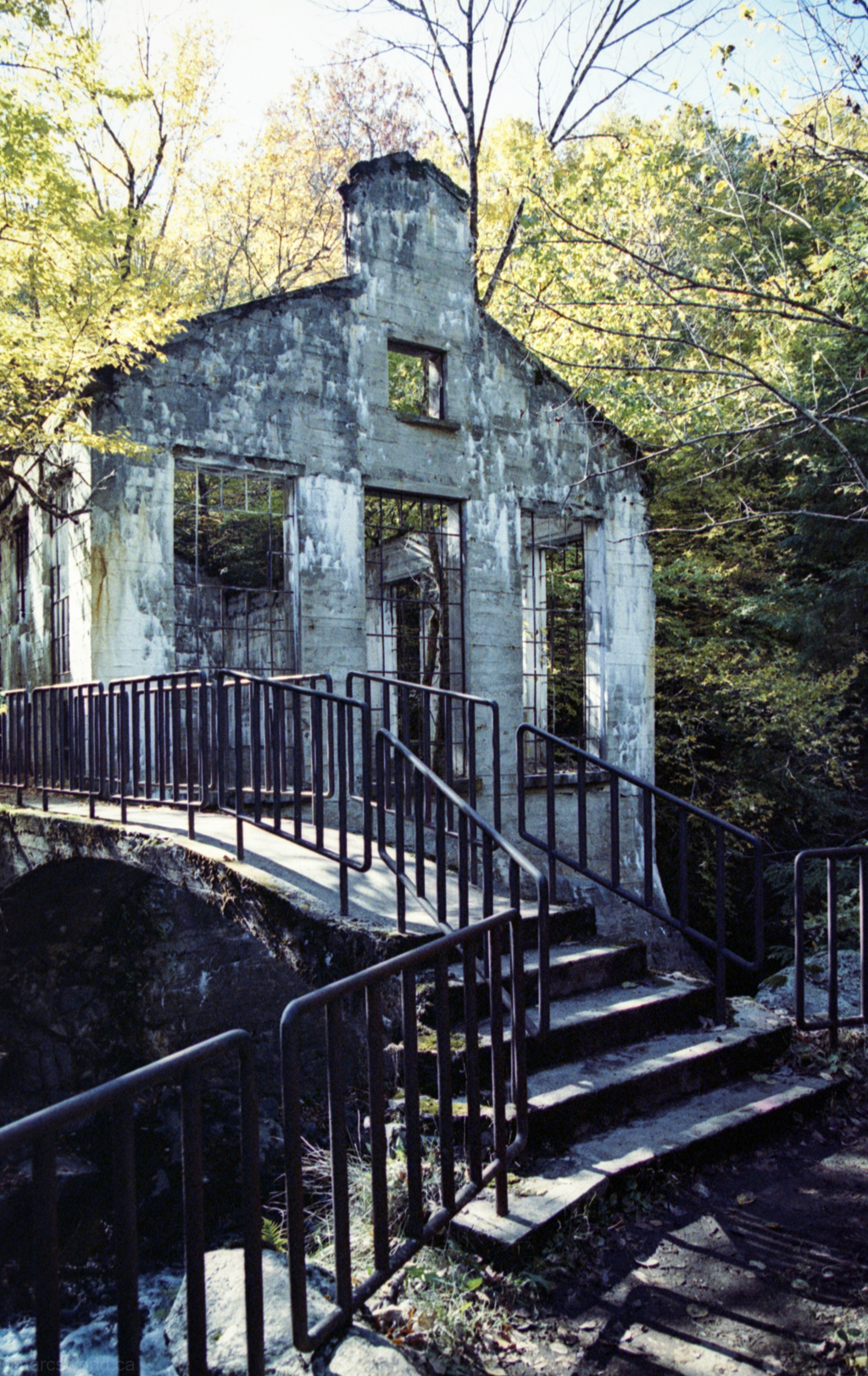 mmn_scan_KodakGold200_2663_1024