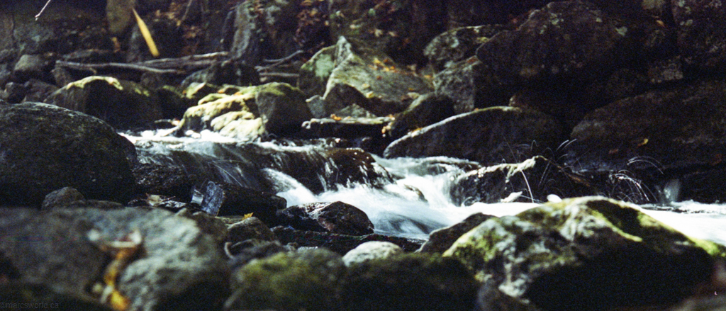 mmn_scan_KodakGold200_2676_1024