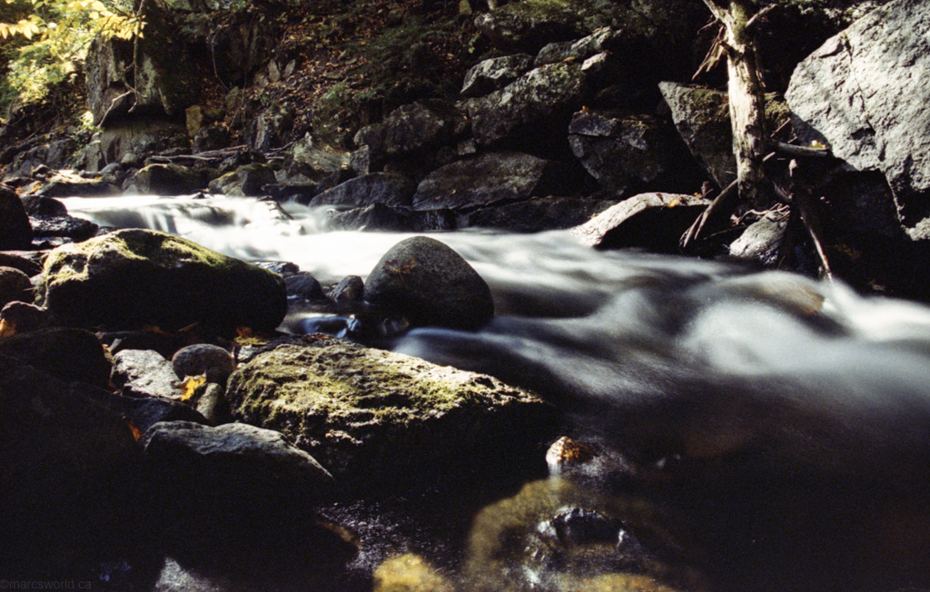 mmn_scan_KodakGold200_2682_1024