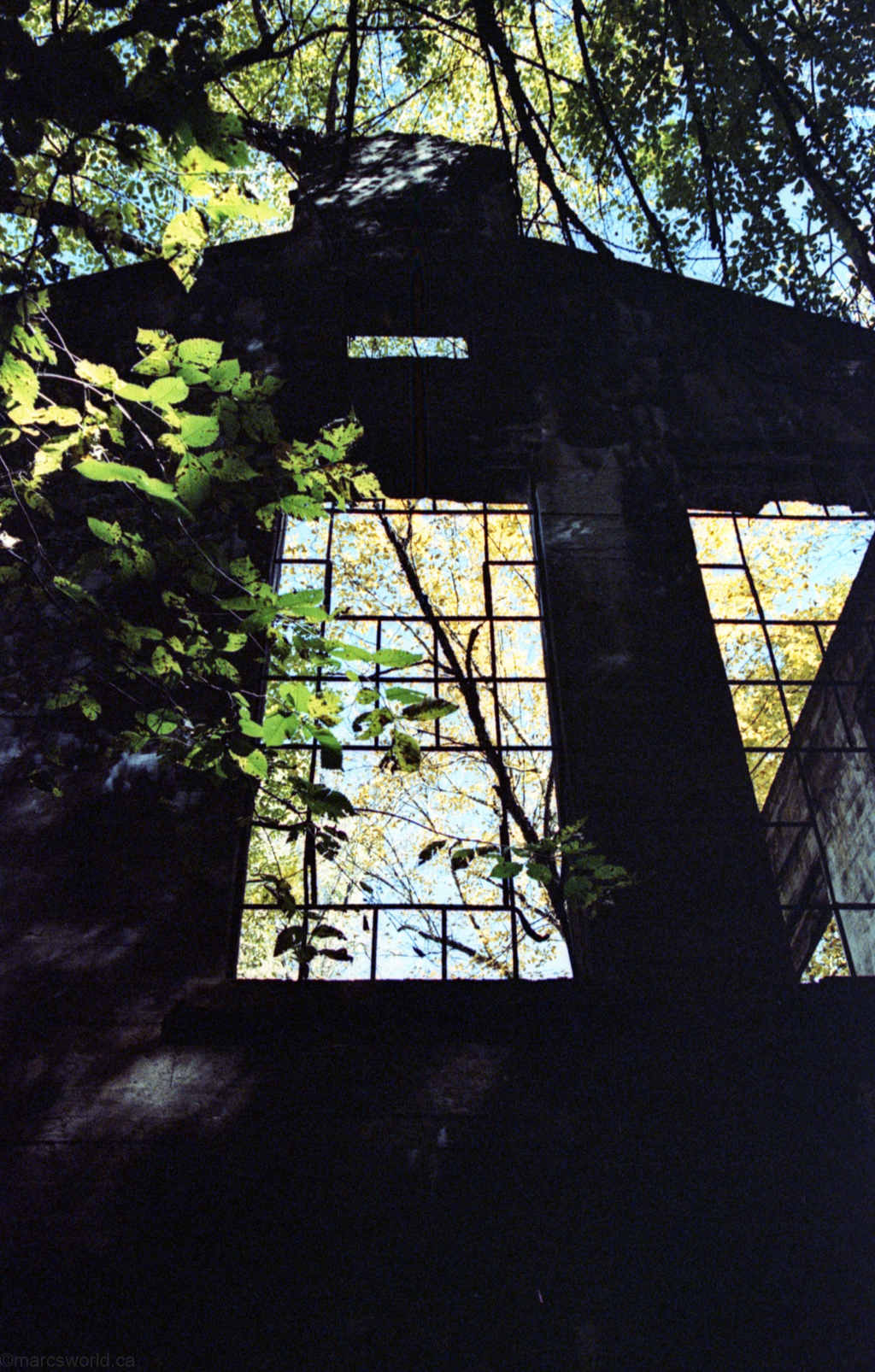 mmn_scan_KodakGold200_2691_1024