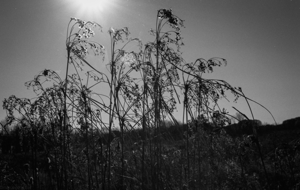 mmn_scan_Retro400s_2946_1024