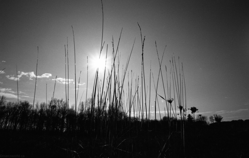 mmn_scan_Retro400s_2955_1024