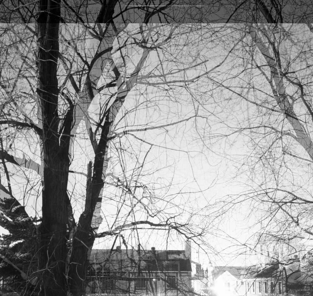 mmn_scan_TriX400_3019_1024