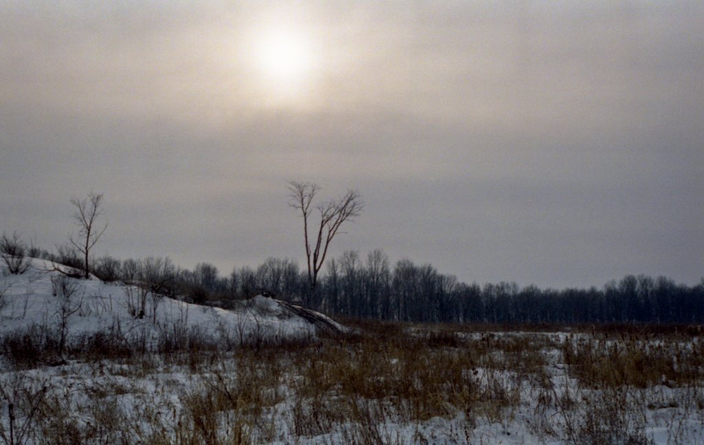 mmn_scan_Gold200_3223_1024