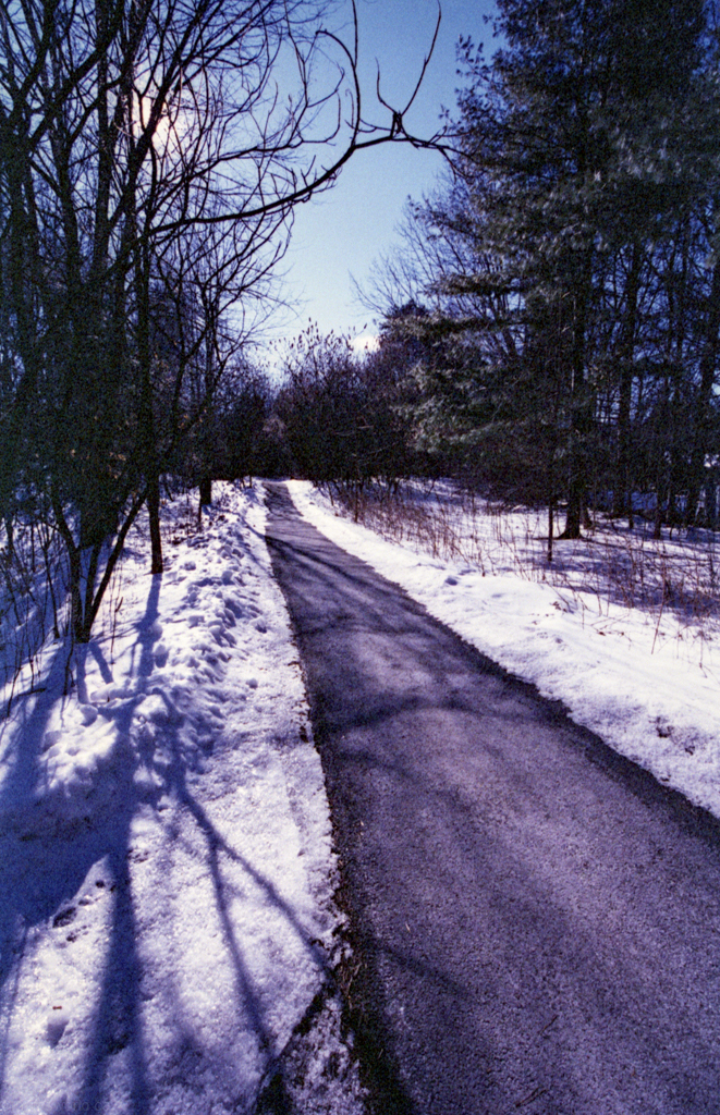 mmn_scan_Photoworks400_3186_1024