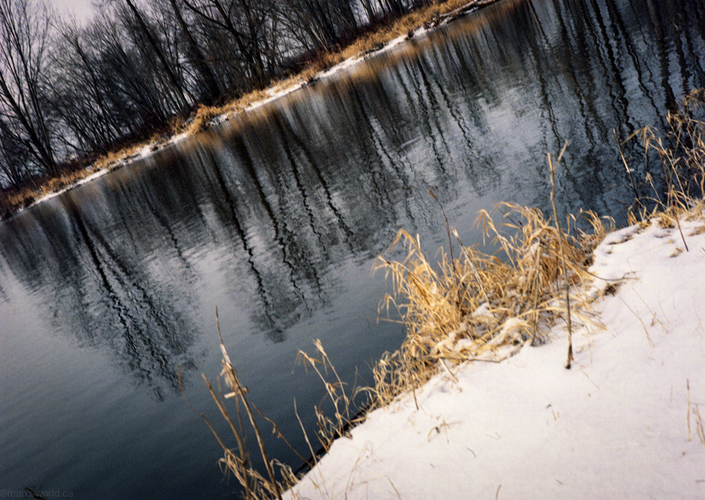 mmn_scan_Portra400UC_3251_1024