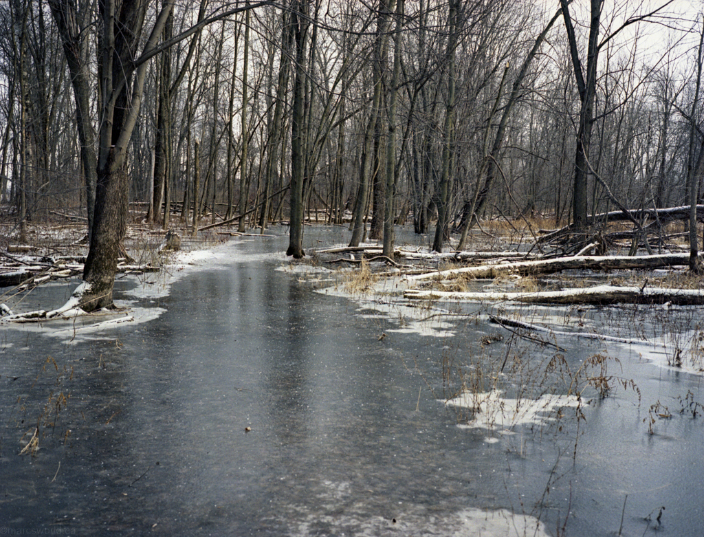 mmn_scan_Portra400UC_3252_1024