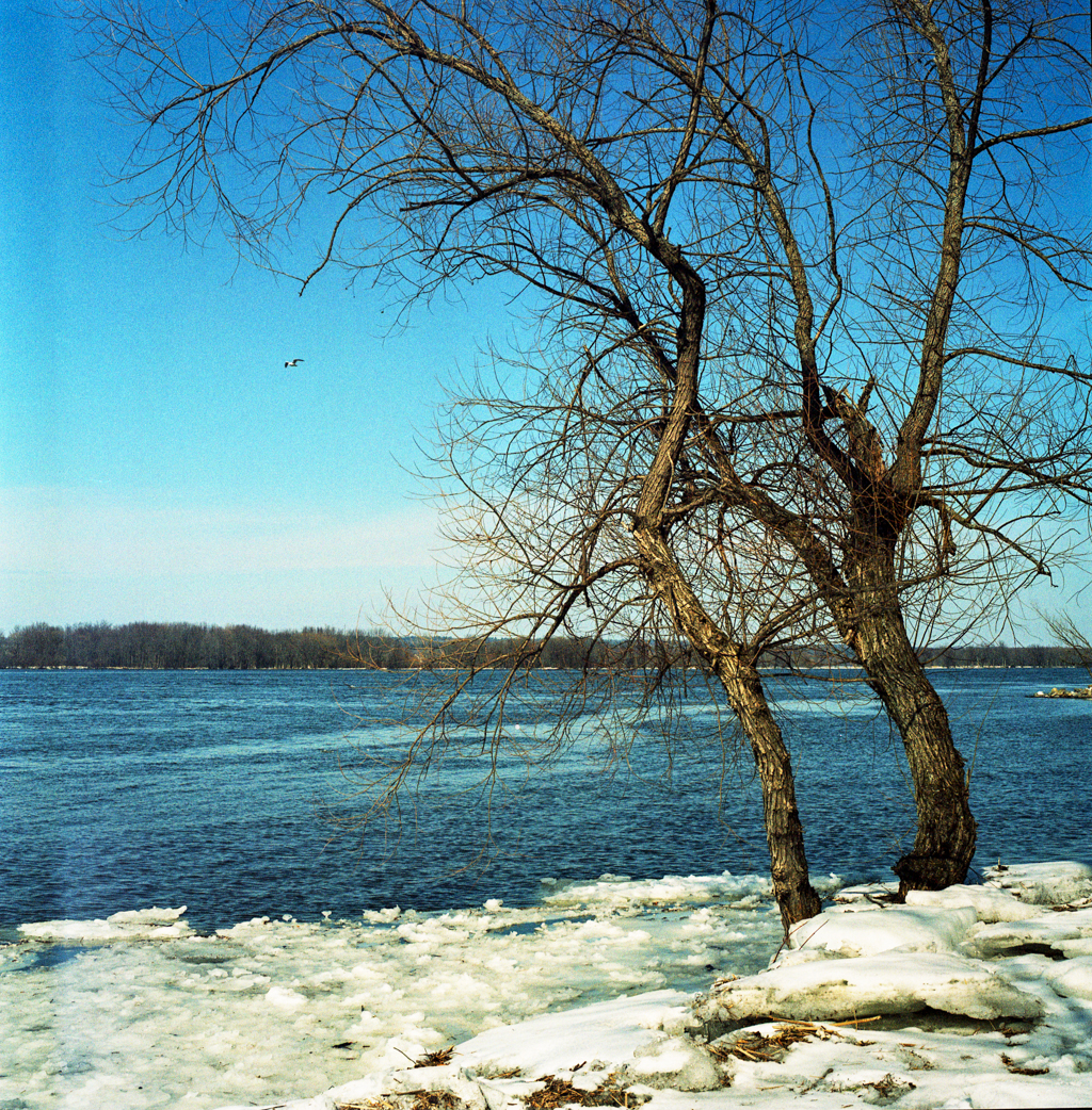 mmn_scan_KodakPortra400UC_3281_1024