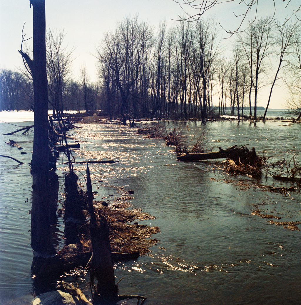 mmn_scan_KodakPortra400UC_3287_1024