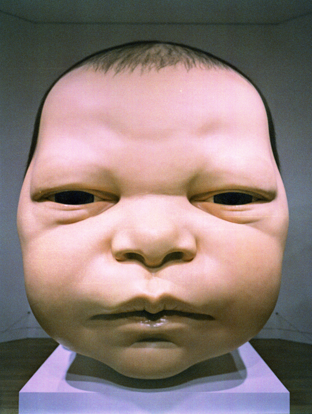 mmn_scan_LomoRedscale400_3316_1024