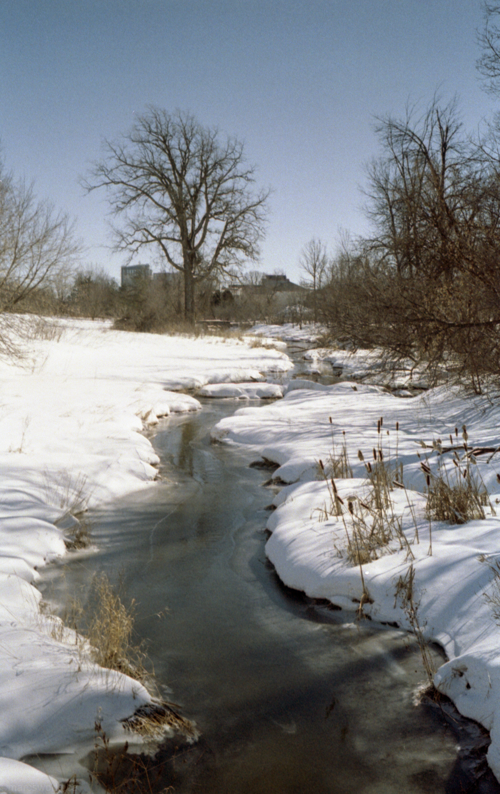 mmn_scan_Gold200_3499_1024