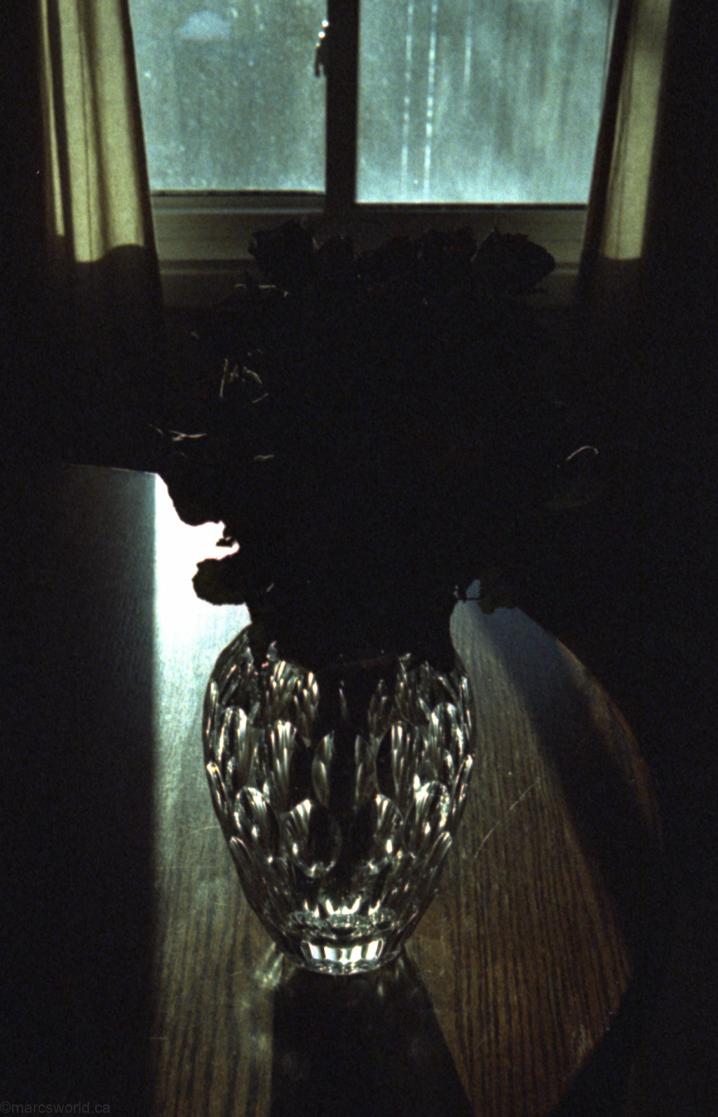 mmn_scan_Gold200_3503_1024