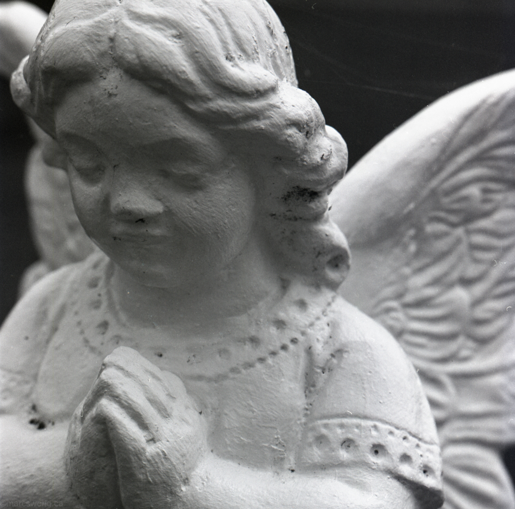 mmn_scan_PlusX-Hassy_3761_1024