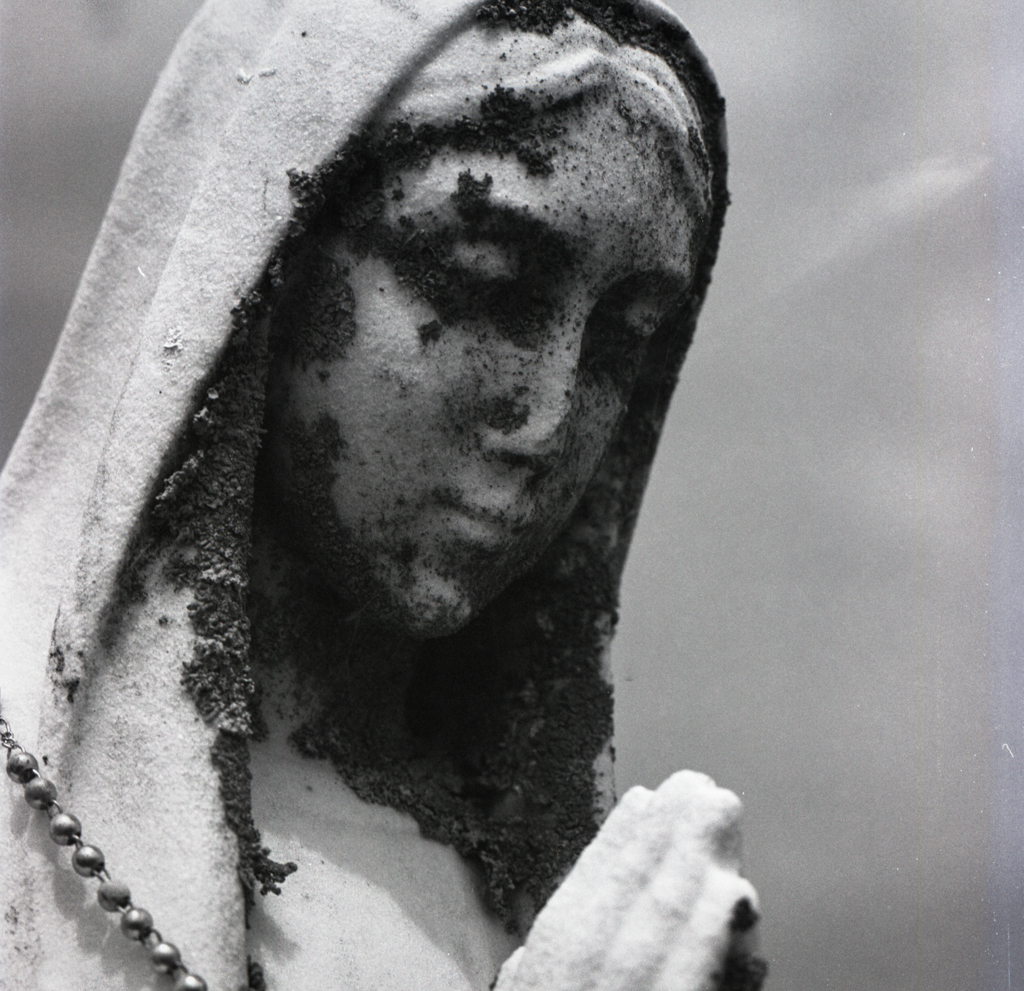 mmn_scan_PlusX-Hassy_3762_1024