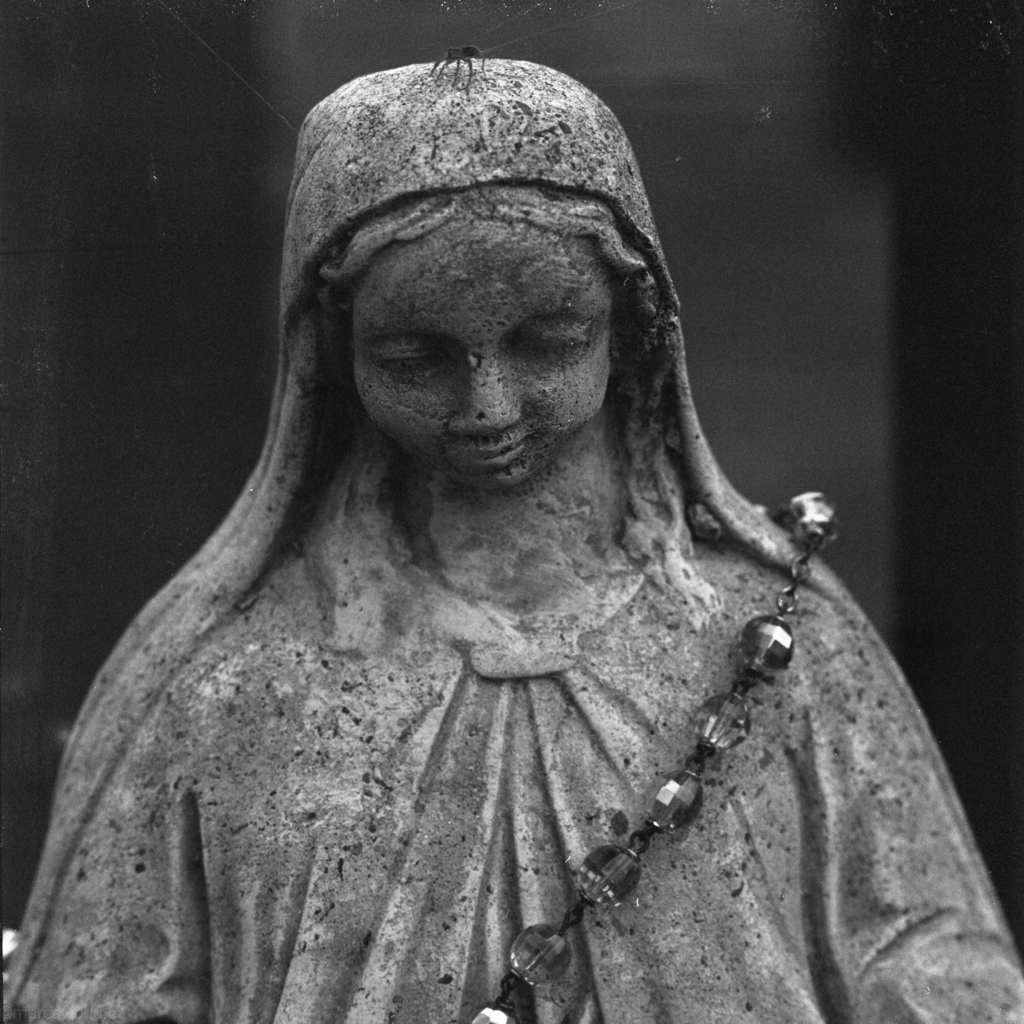 mmn_scan_PlusX-Hassy_3766_1024