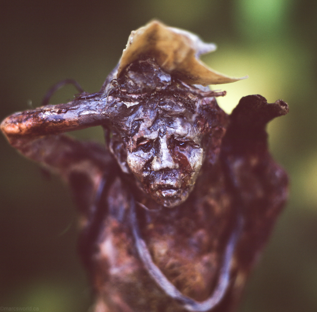 mmn_scan_velvia_hassy_3946_1024