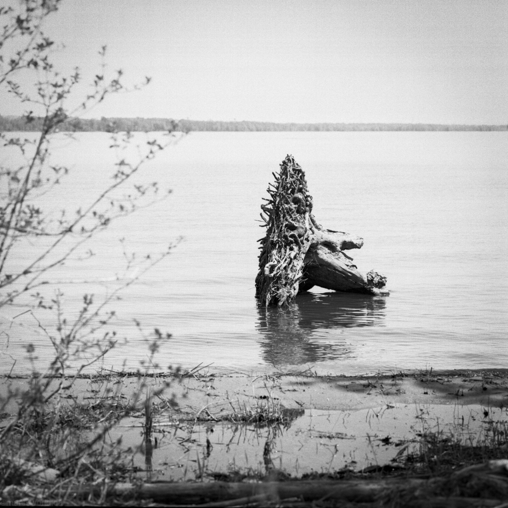 mmn_scan_portra400bw_hassy_4332_1024