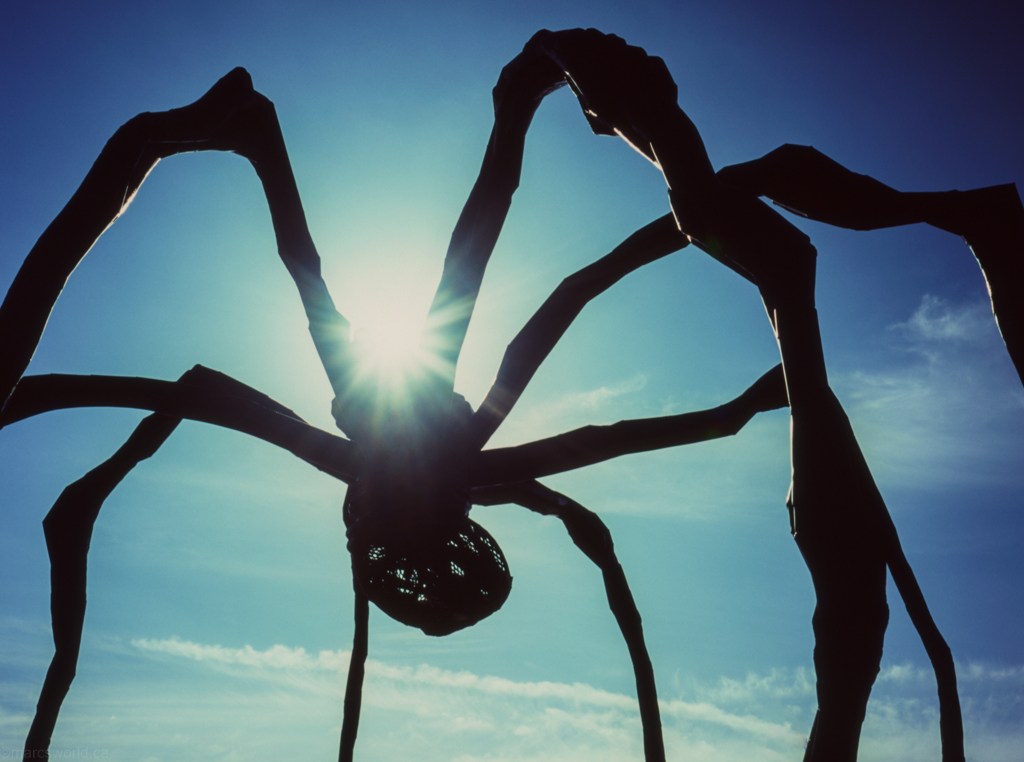 mmn_scan_velvia100_ga645_4359_1024