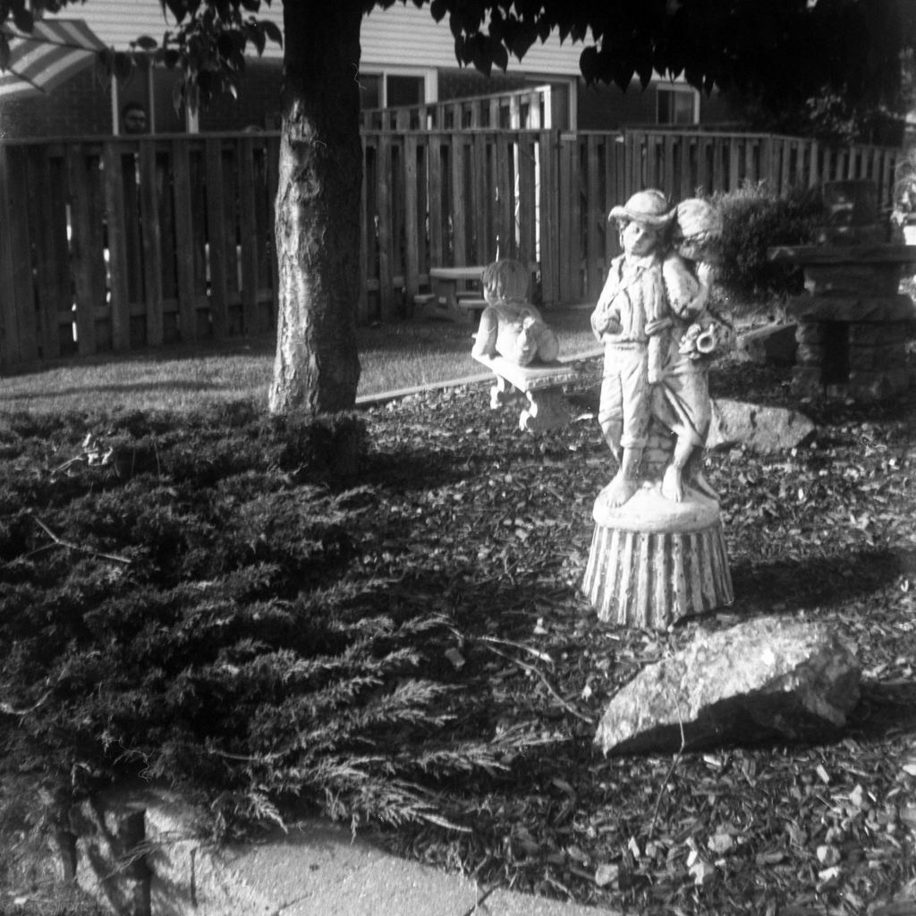 mmn_scan_TMax100_Brownie_4481_1024