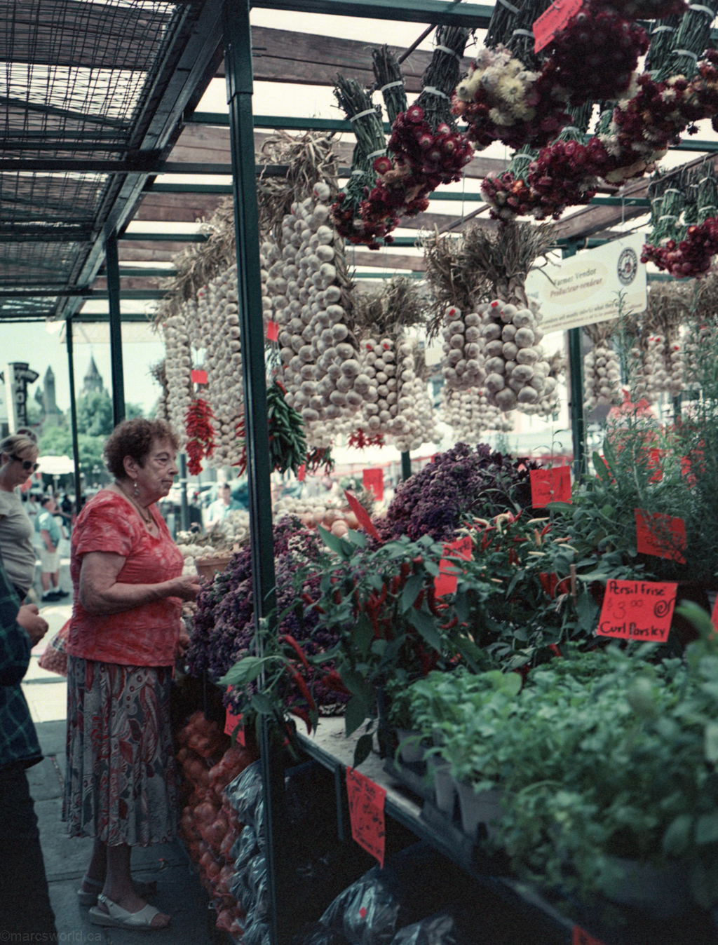 mmn_scan_FujiNSP160_GA645_4374_1024