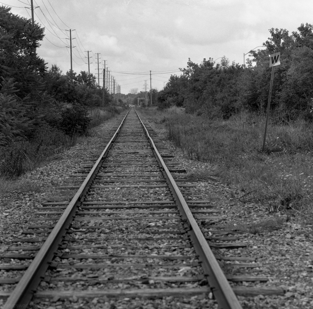 mmn_scan_PlusX_Hassy_4550_1024