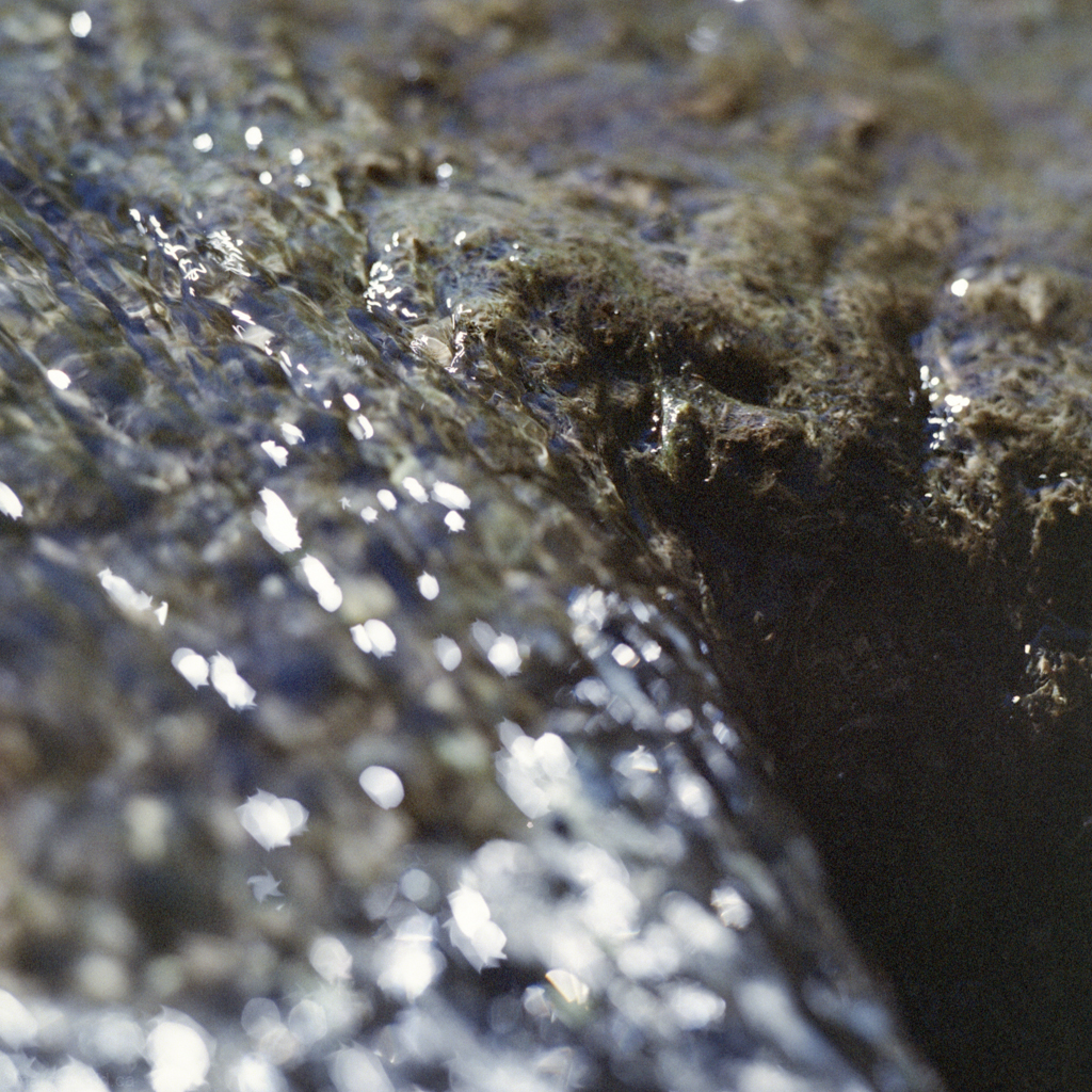 mmn_scan_Optima400_Hassy_4277_1024